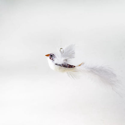 Handsfree Bird/Feather Cat Wand with Bell