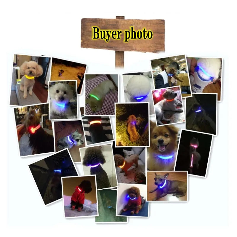 LED Dog Collar